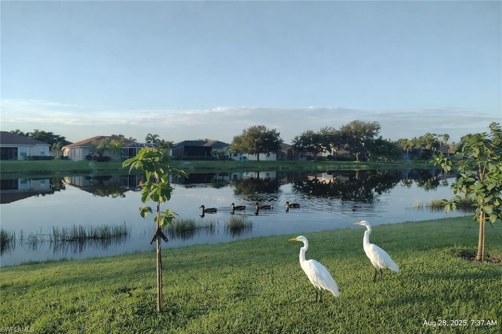 4709 Fairloop Run, Lehigh Acres, FL 33973 Photo