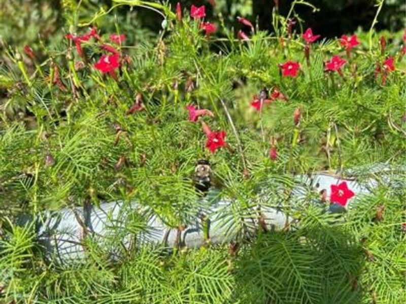 12223 Jason Drive, Medway, OH 45341 Photo 34