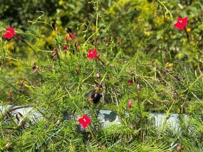 12223 Jason Drive, Medway, OH 45341 Photo 35