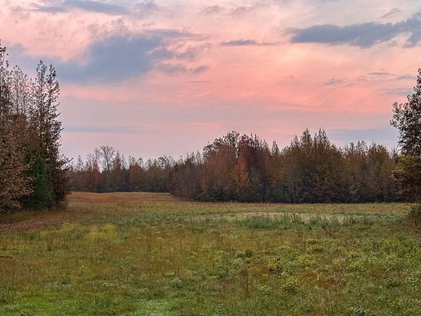 0 Hines Gin Road , Selmer, TN 38375