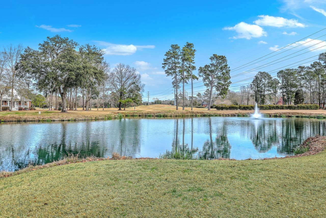 8600 Timbermarsh Lane Photo 46