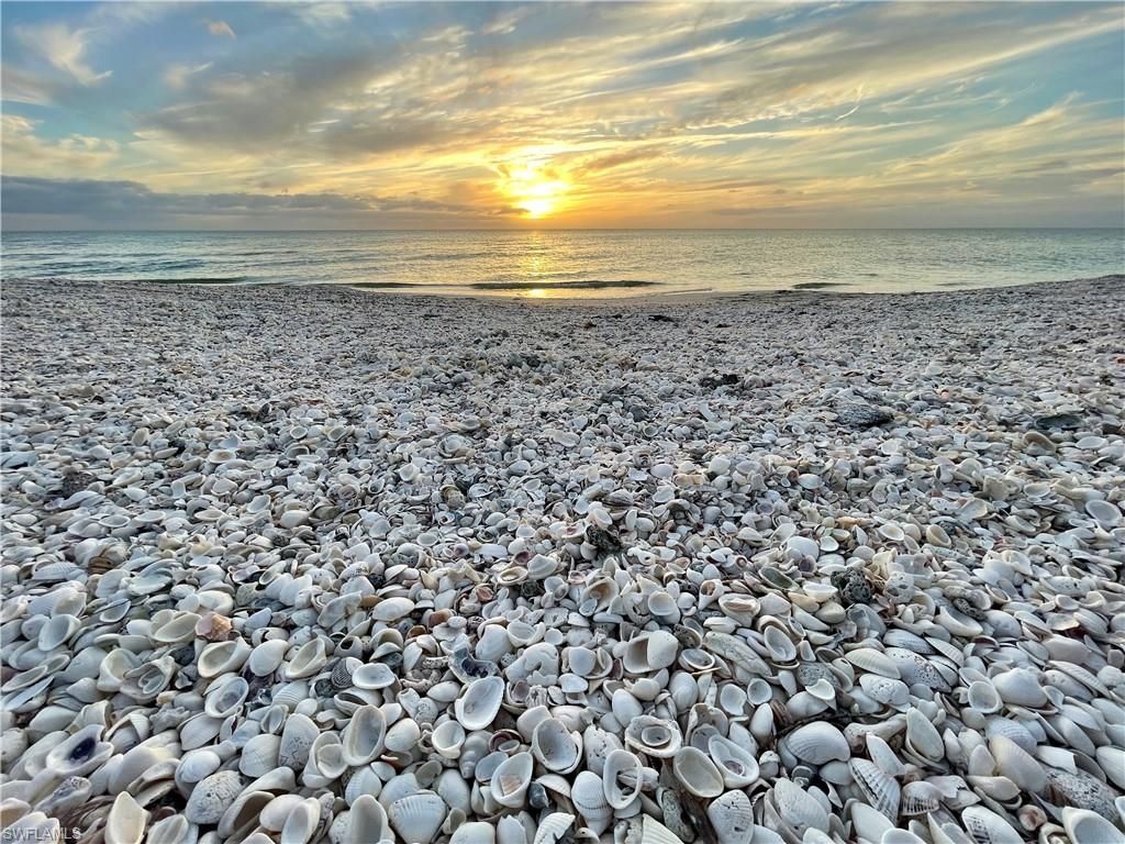 26300 Hickory Blvd, Unit 1005, Bonita Springs, FL 34134 Photo