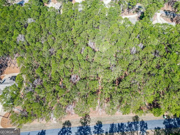 1051 Big Water Point, Greensboro, GA 30642