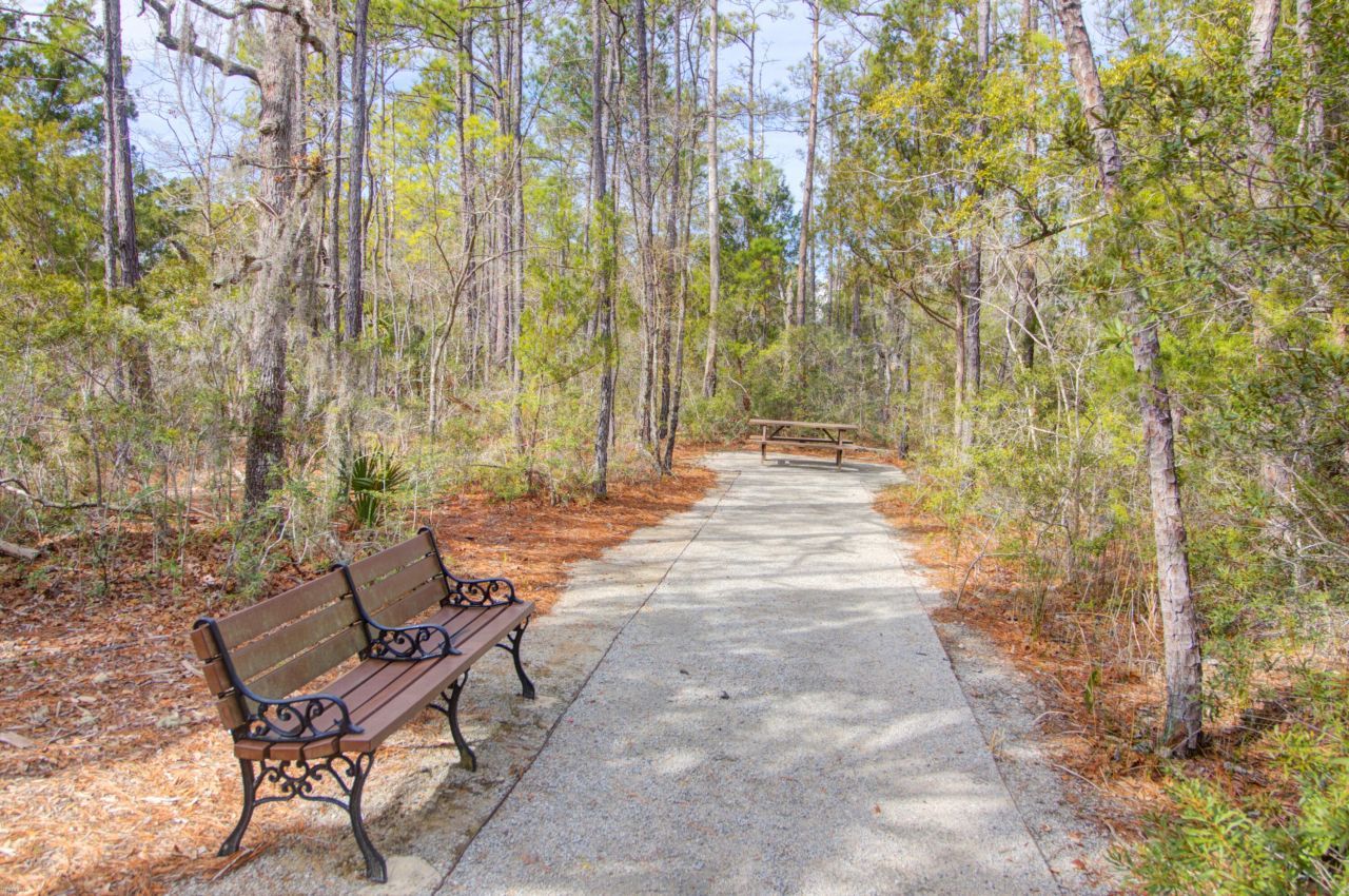 357 Blowing Fresh Drive Photo 10