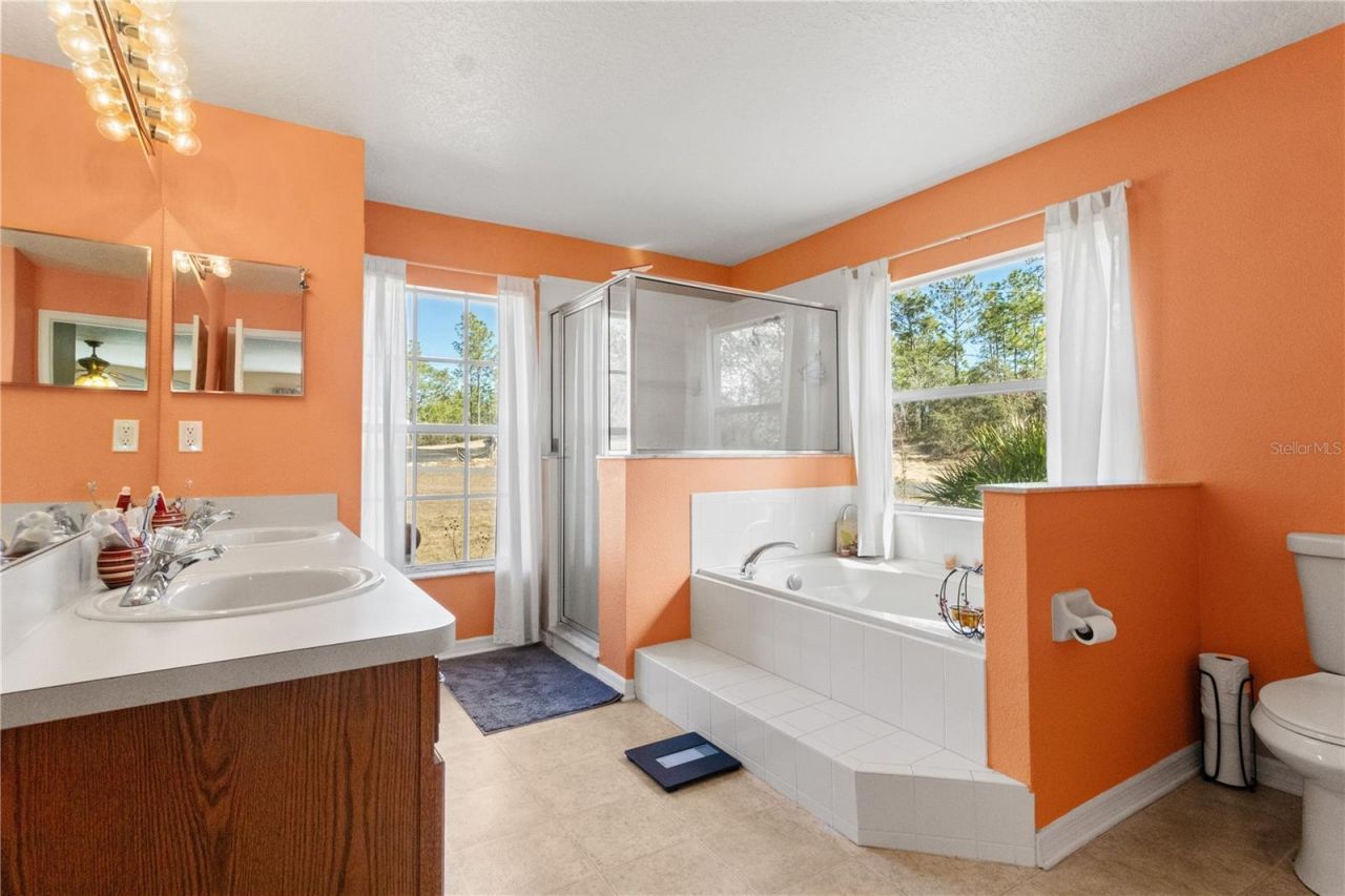 4239 W Dorchester Circle, Dunnellon, FL 34433 Photo