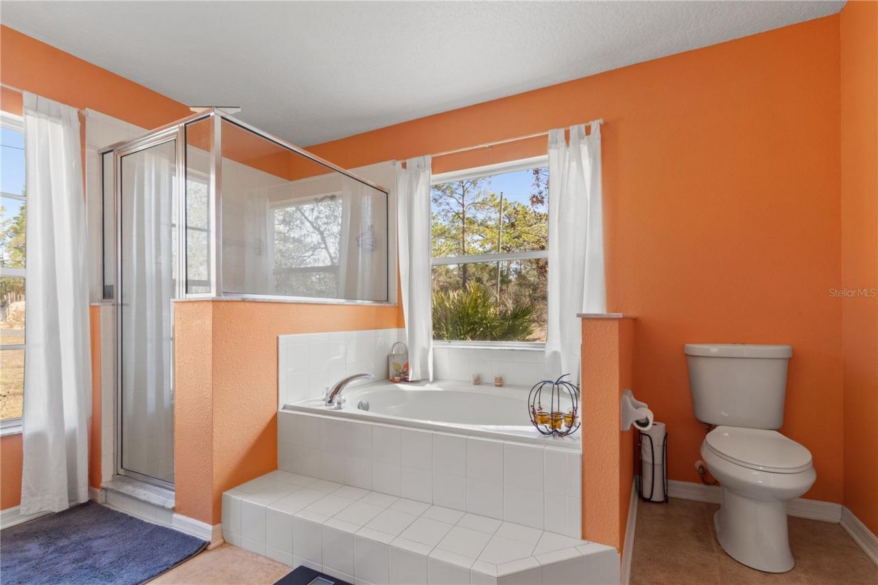 4239 W Dorchester Circle, Dunnellon, FL 34433 Photo