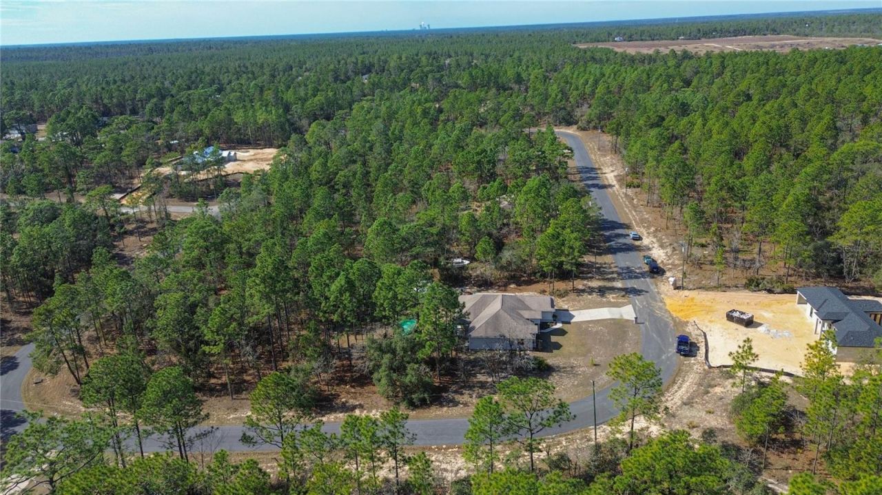 4239 W Dorchester Circle, Dunnellon, FL 34433 Photo