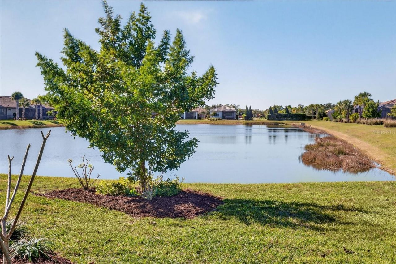 7683 Summerland Cove, Lakewood Ranch, FL 34202 Photo