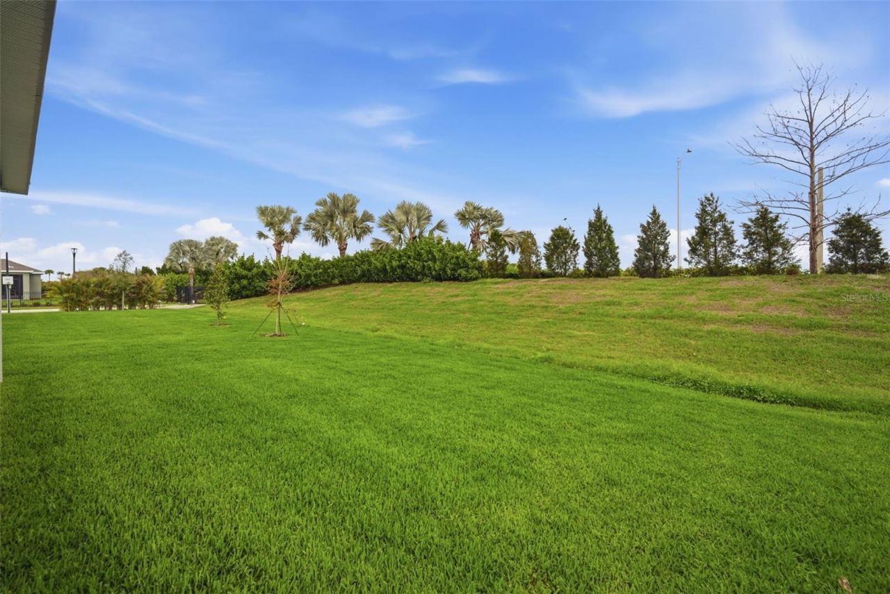 11834 Richmond Trail, Parrish, FL 34219 Photo