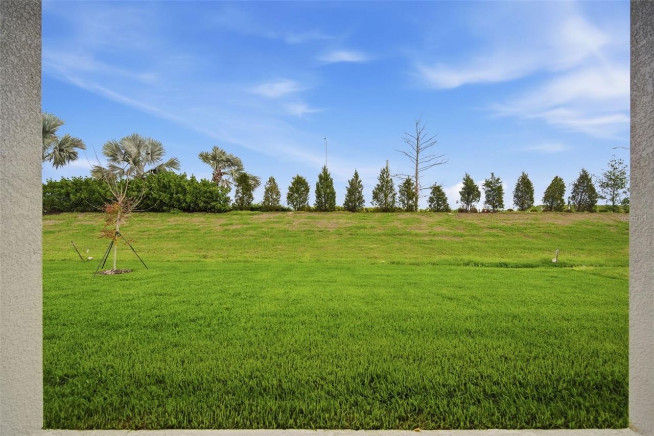 11834 Richmond Trail, Parrish, FL 34219 Photo