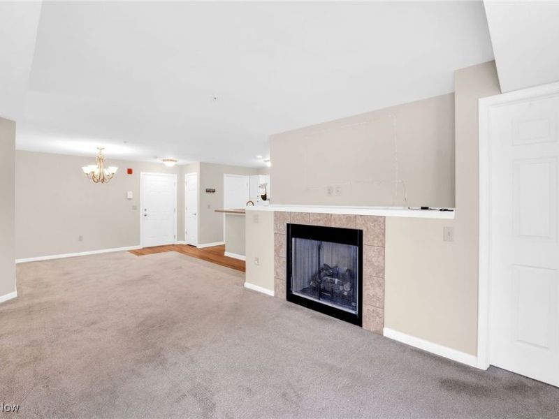 23002 Chandlers Lane, Unit 223, Olmsted Falls, OH 44138 Photo 3