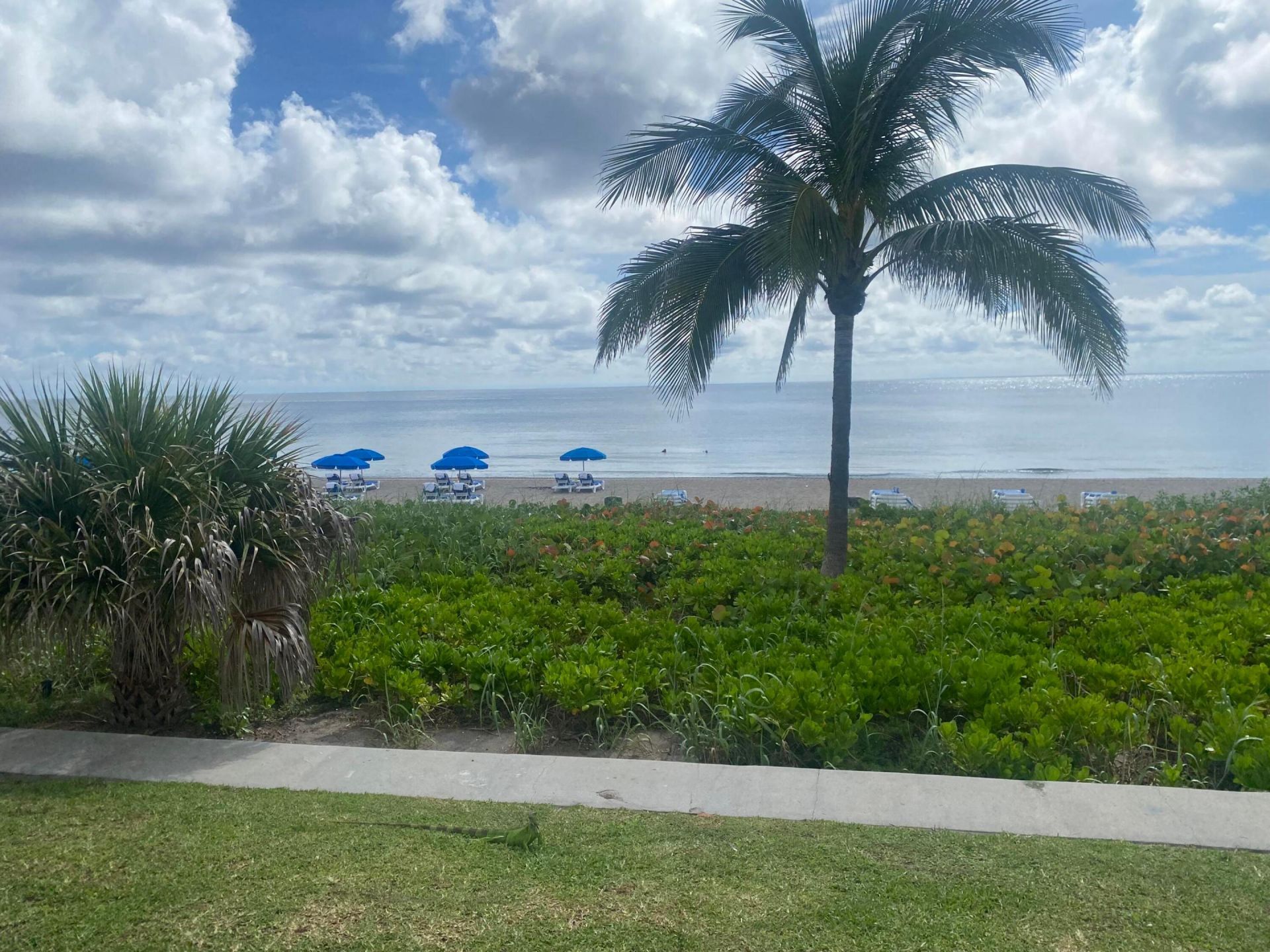 298 SW 6th Street, Unit 109, Boca Raton, FL 33432 Photo