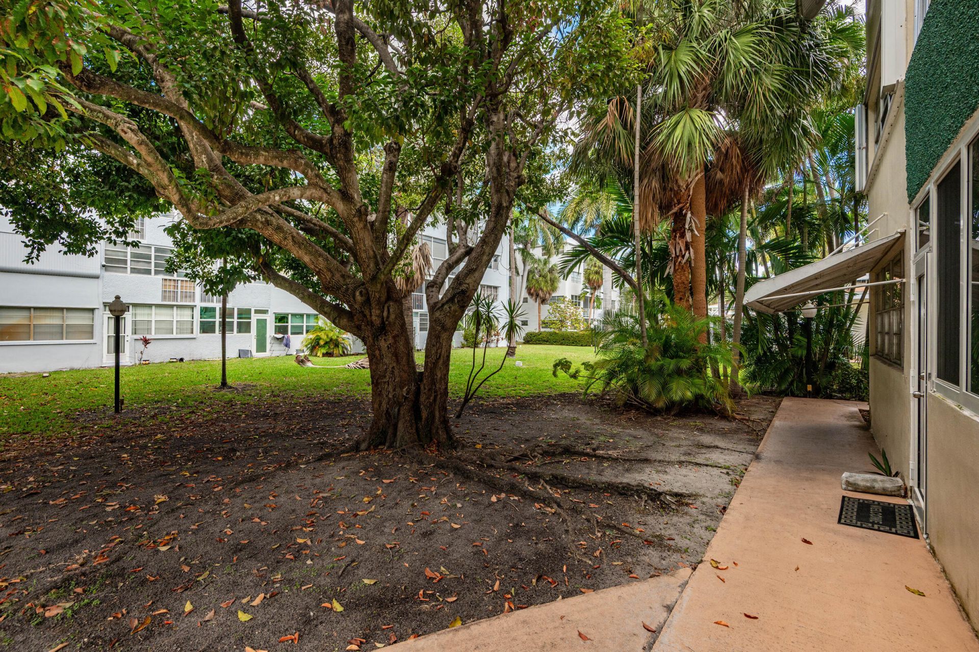 1333 E Hallandale Beach Boulevard, Unit 101, Hallandale Beach, FL 33009 Photo