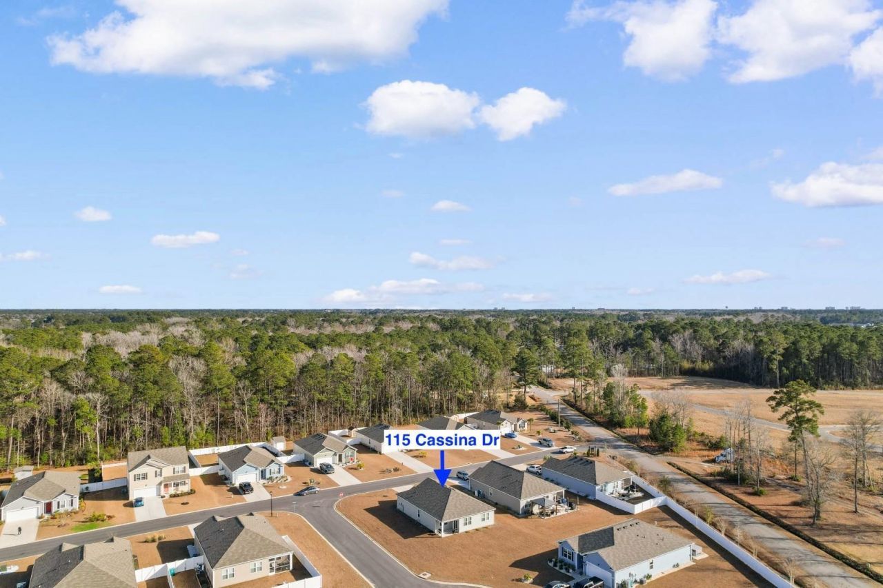 115 Cassina Dr. Photo 30