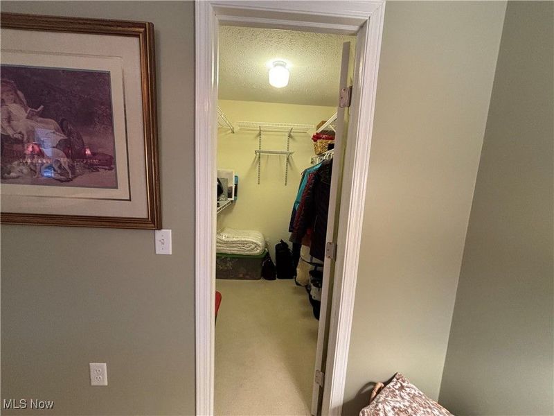 4391 Hunters Chase Lane, Wooster, OH 44691 Photo 18