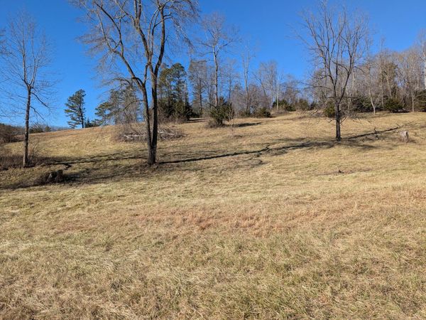 0 Tharp Creek RD, Ferrum, VA 24088