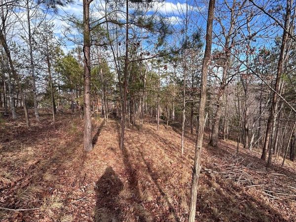 254 Stoney Creek Drive, Nebo, NC 28761