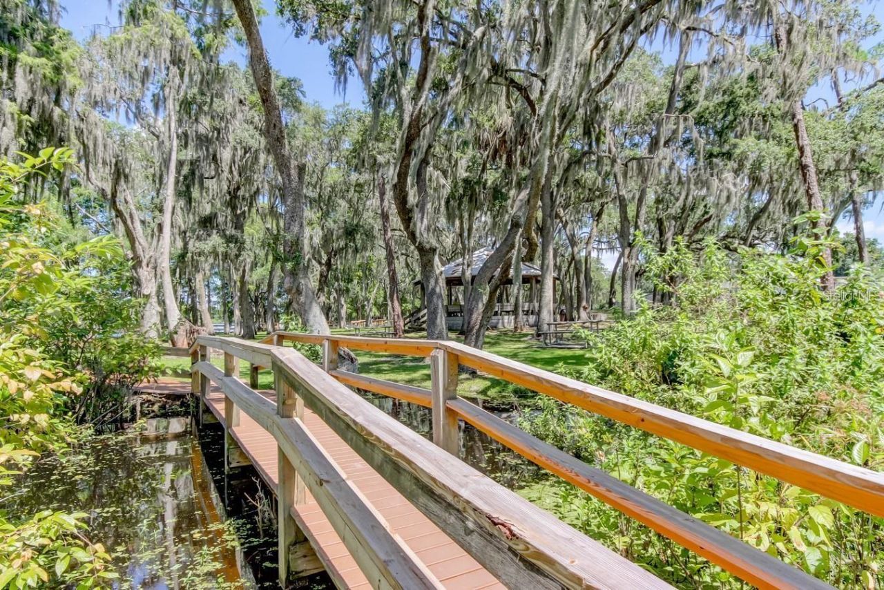 315 S Glen Arven Avenue, Temple Terrace, FL 33617 Photo