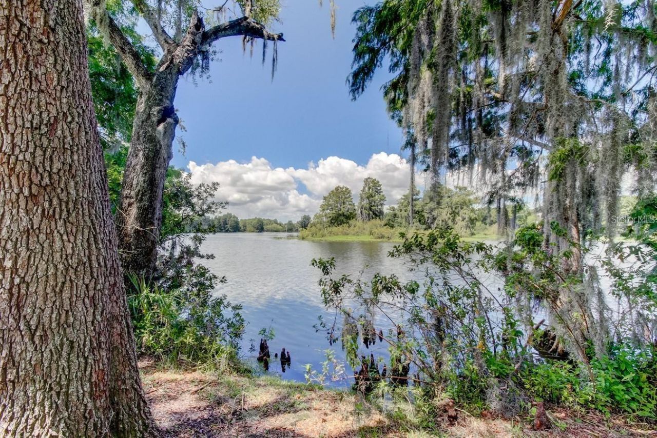 315 S Glen Arven Avenue, Temple Terrace, FL 33617 Photo