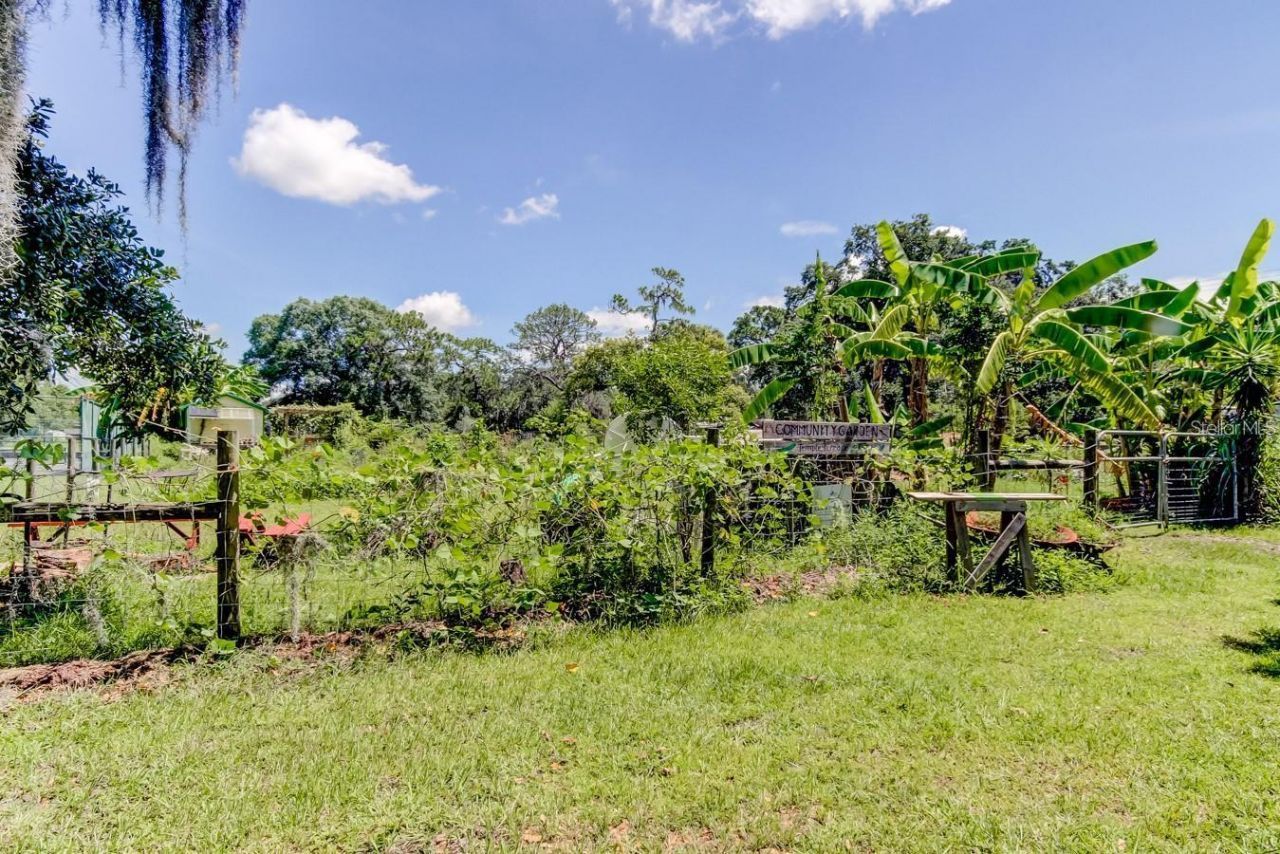 315 S Glen Arven Avenue, Temple Terrace, FL 33617 Photo