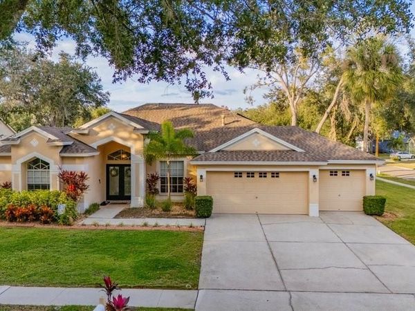 12537 RIVER BIRCH DRIVE, RIVERVIEW, FL 33569