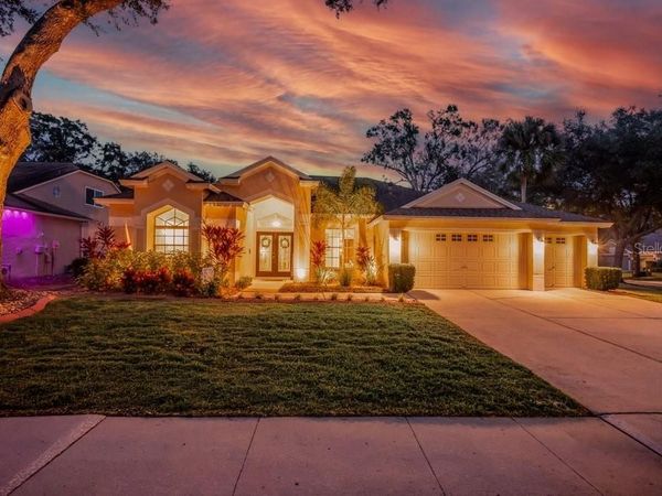 12537 RIVER BIRCH DRIVE, RIVERVIEW, FL 33569