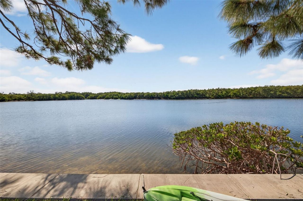 978 San Carlos Court Ne, Saint Petersburg, FL 33702 Photo