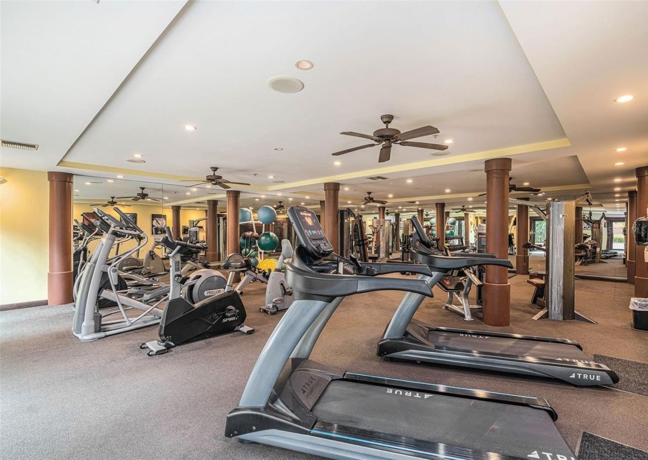 100 4th Avenue S, Unit 115, Saint Petersburg, FL 33701 Photo