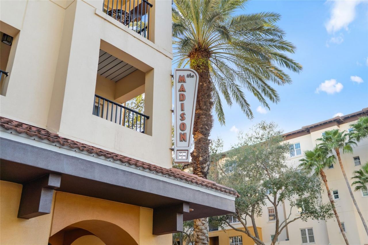 100 4th Avenue S, Unit 115, Saint Petersburg, FL 33701 Photo