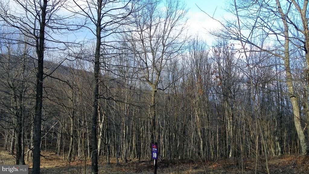 16326 Laurelhurst Boulevard, Cresaptown, MD 21502 Main Photo