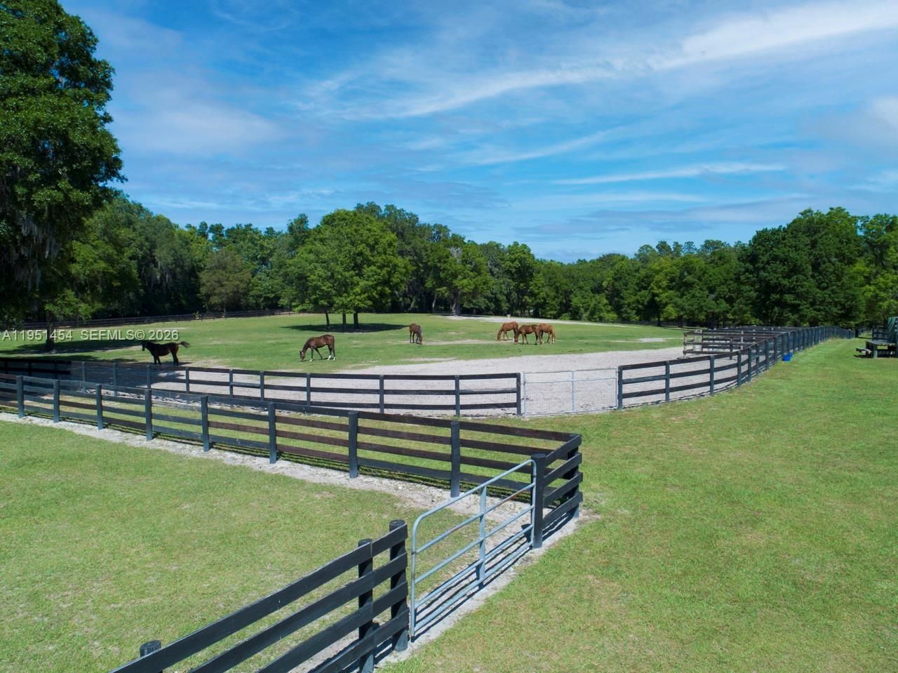 7787 NW 150th Ave , Ocala, FL 32668 Photo