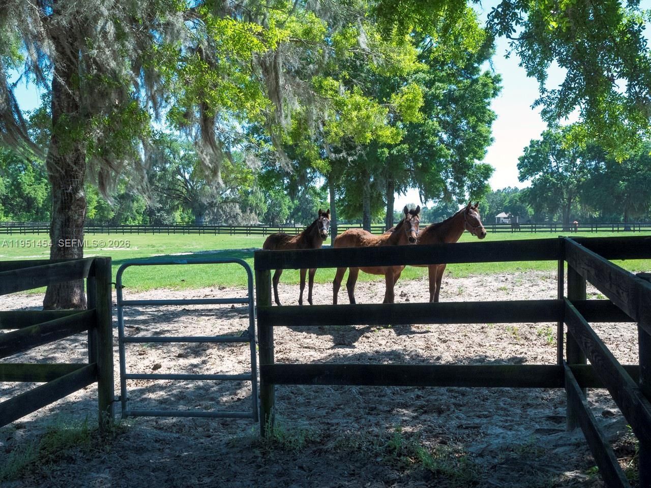 7787 NW 150th Ave , Ocala, FL 32668 Photo