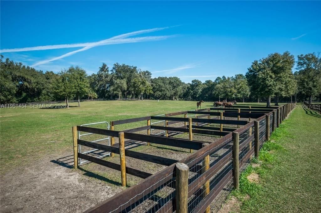 7787 NW 150th Ave , Ocala, FL 32668 Photo