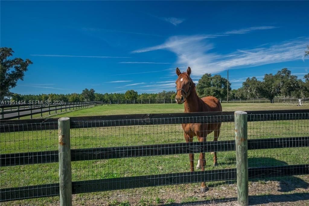 7787 NW 150th Ave , Ocala, FL 32668 Photo