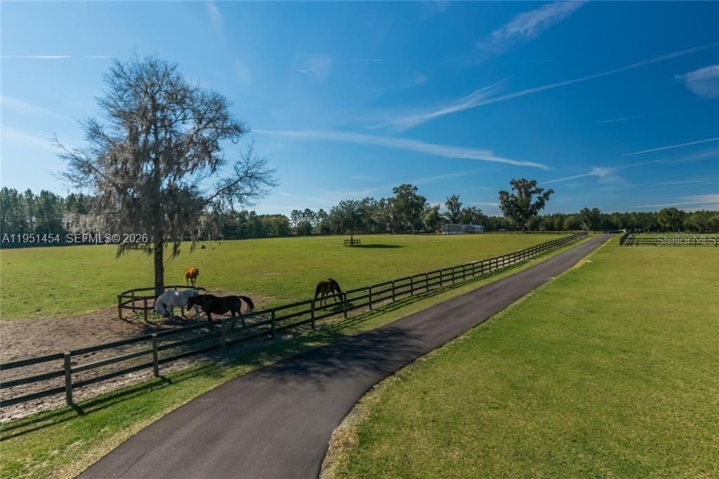 7787 NW 150th Ave , Ocala, FL 32668 Photo