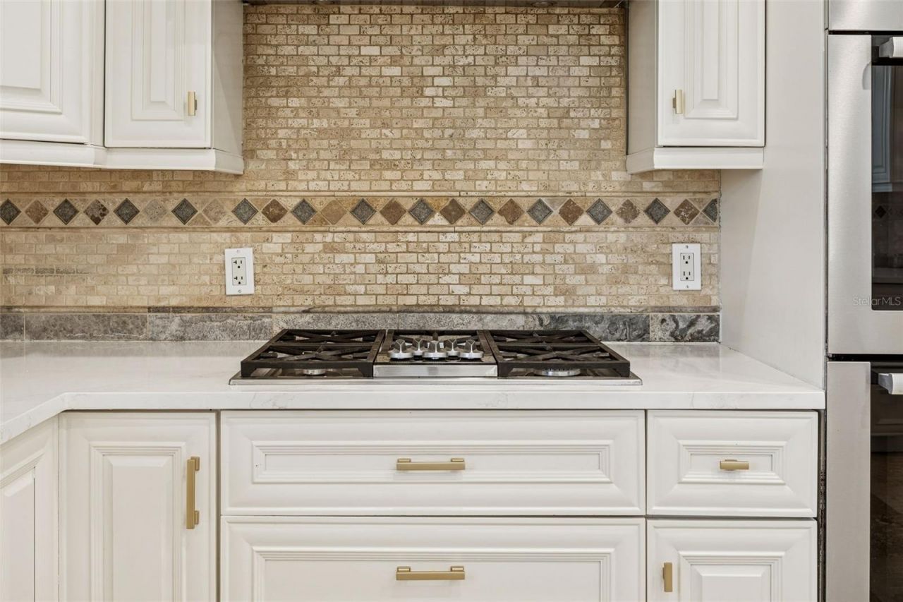 11606 Lipsey Road, Tampa, FL 33618 Photo