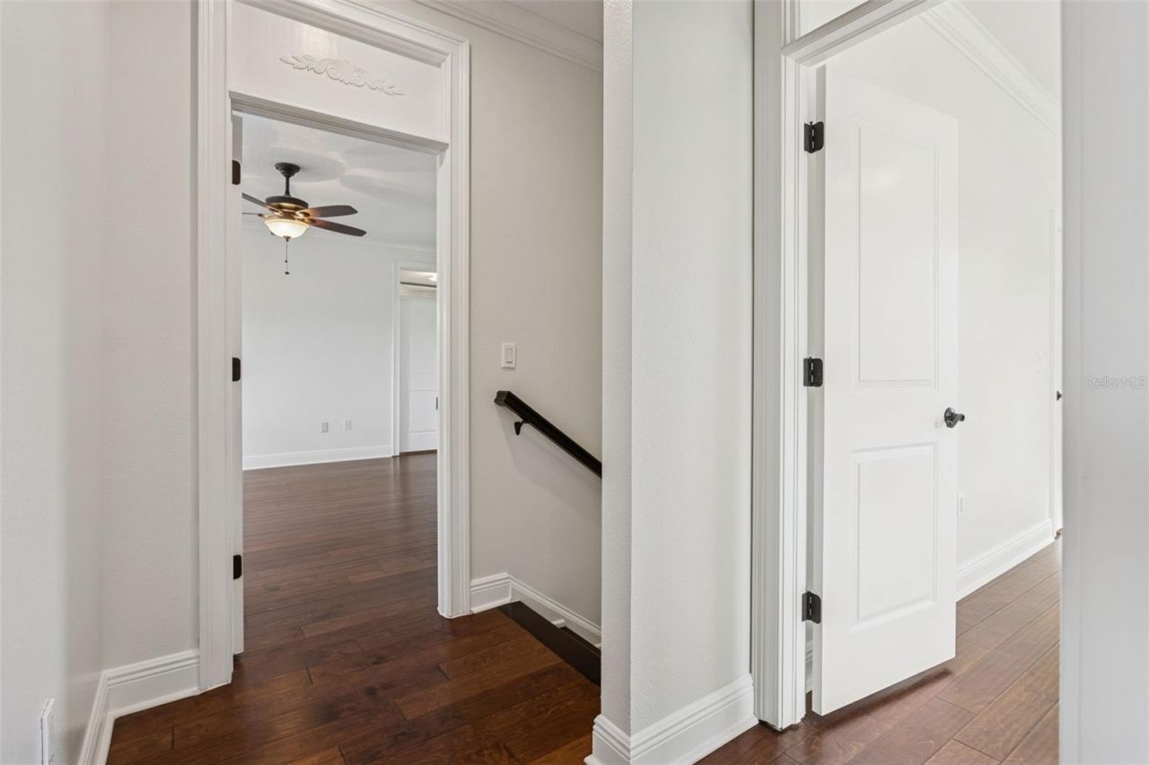 11606 Lipsey Road, Tampa, FL 33618 Photo