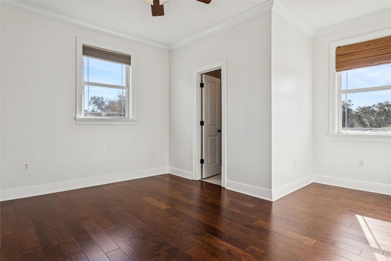 11606 Lipsey Road, Tampa, FL 33618 Photo