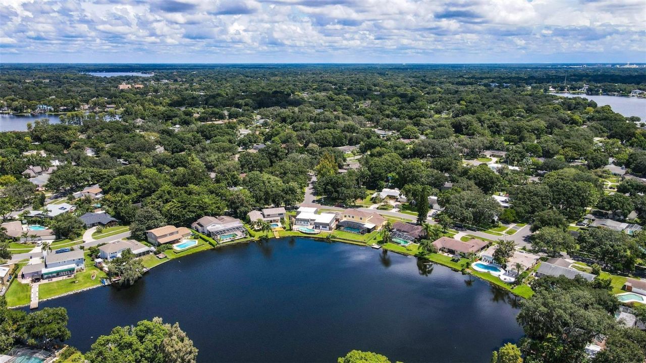 11606 Lipsey Road, Tampa, FL 33618 Photo