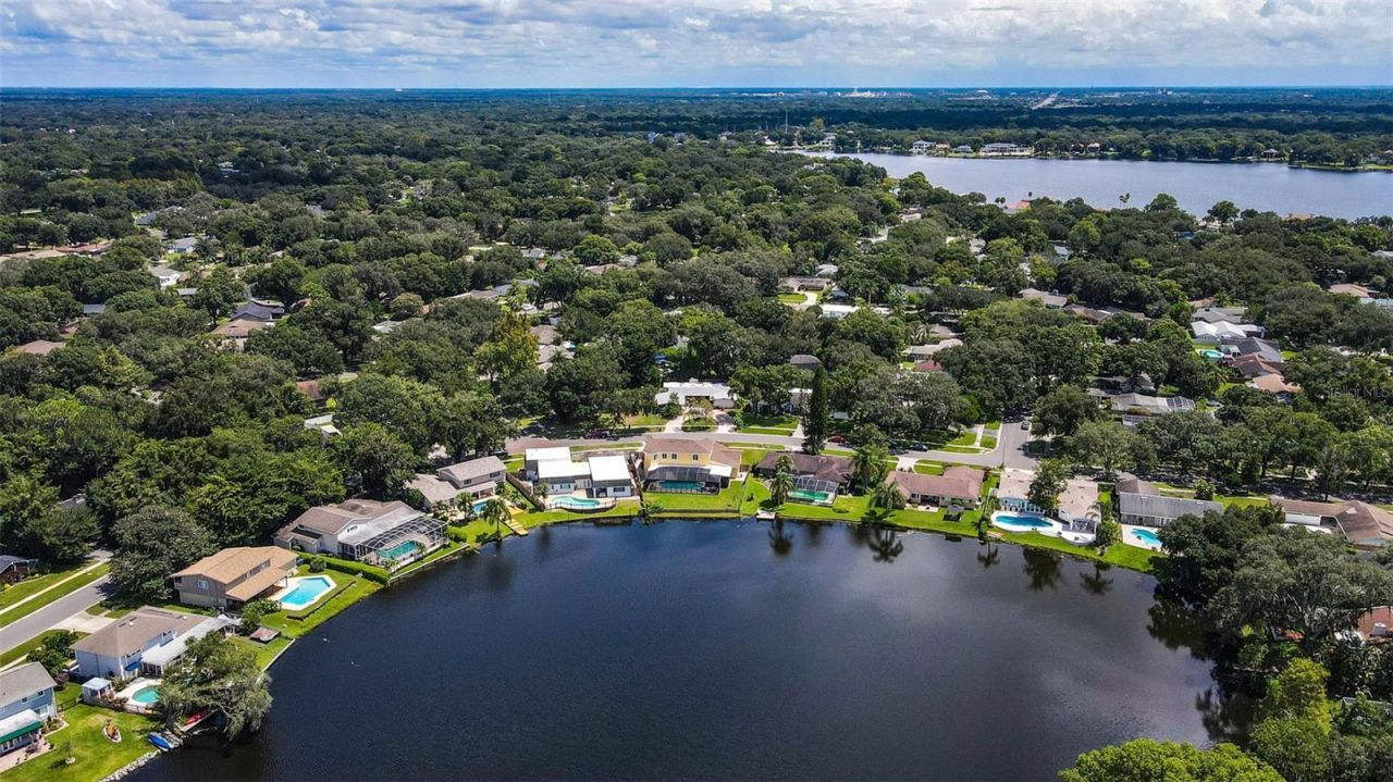 11606 Lipsey Road, Tampa, FL 33618 Photo