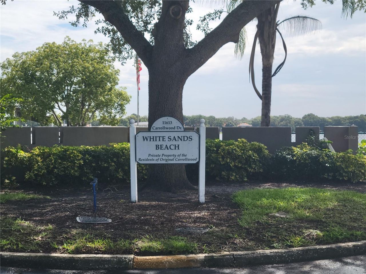 11606 Lipsey Road, Tampa, FL 33618 Photo