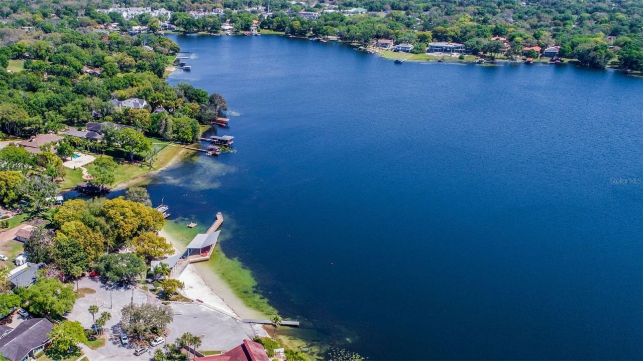 11606 Lipsey Road, Tampa, FL 33618 Photo