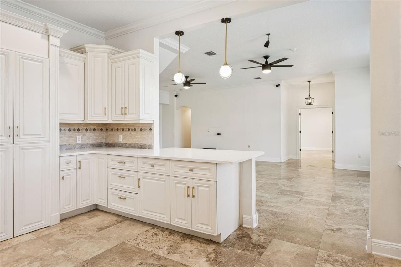 11606 Lipsey Road, Tampa, FL 33618 Photo