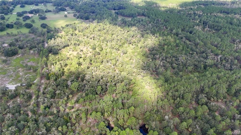 20271 SE 81st Terrace, Inglis, FL 34449 Photo