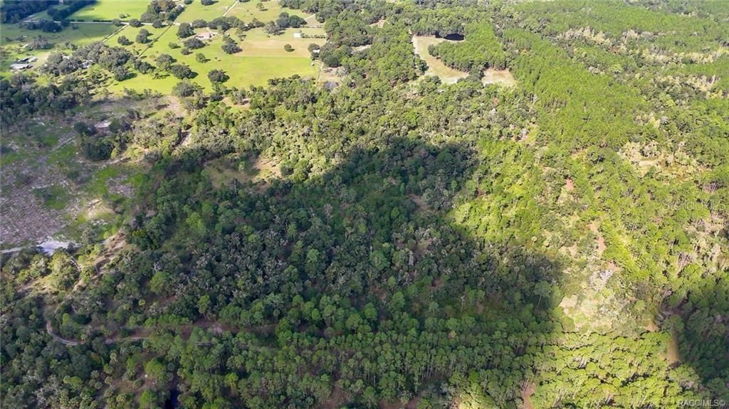 20271 SE 81st Terrace, Inglis, FL 34449 Photo