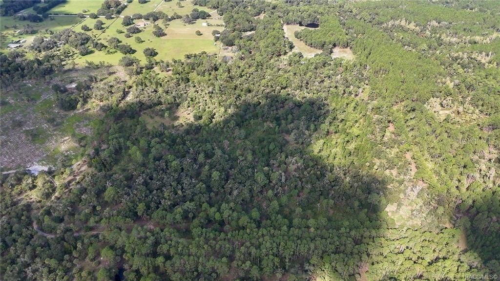 20271 SE 81st Terrace, Inglis, FL 34449 Photo