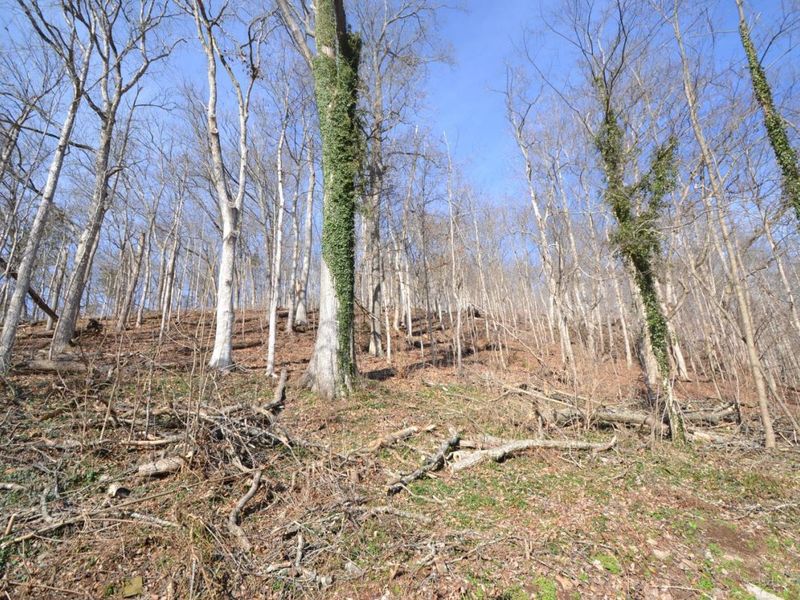 3688 US Rt 52, Manchester, OH 45144 Photo 20