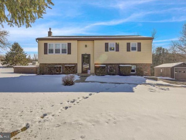 450 BIRCH HILL ROAD, SHOEMAKERSVILLE, PA 19555