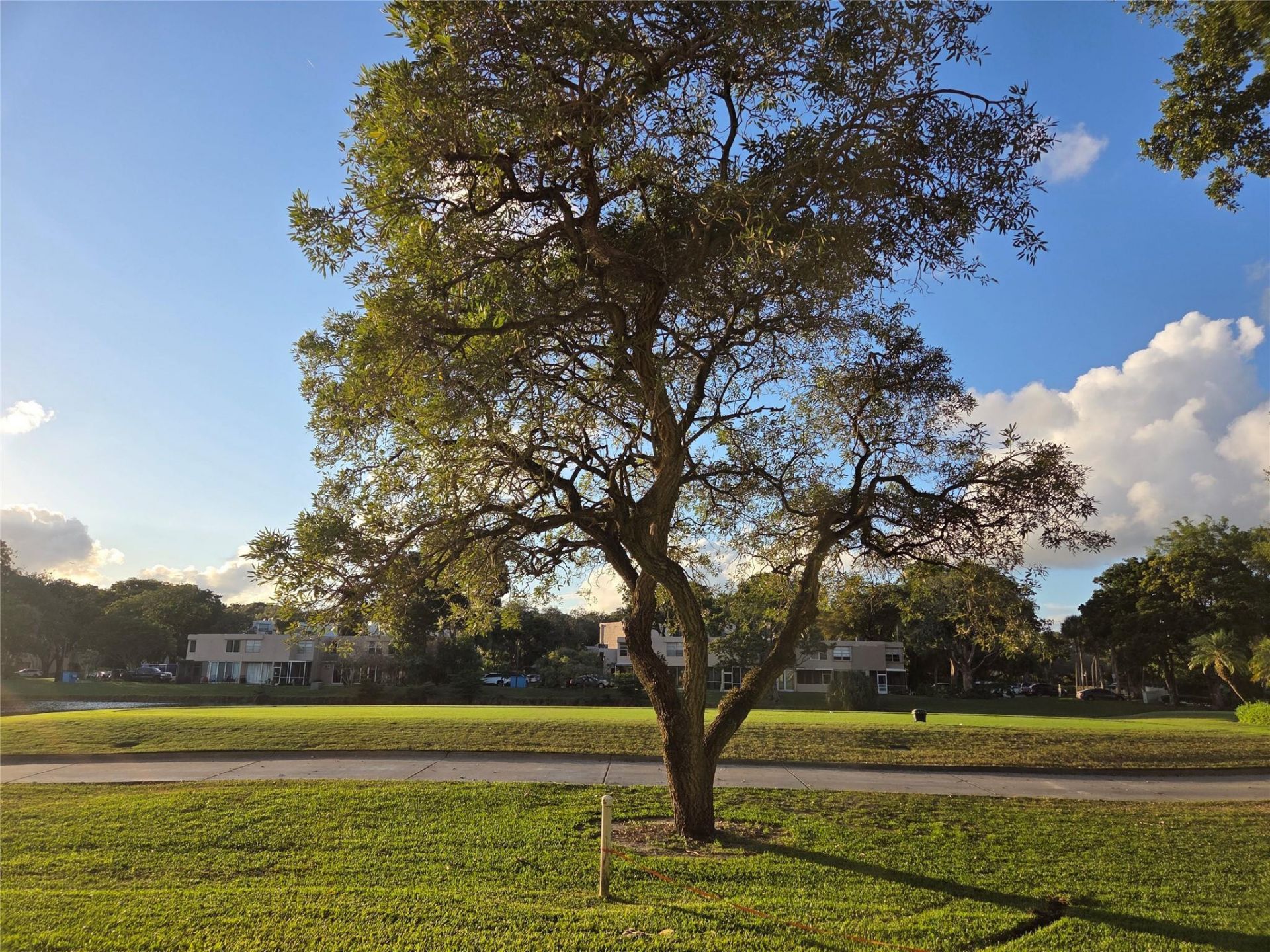 1811 Sabal Palm Drive, Unit 106, Davie, FL 33324 Photo