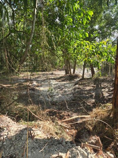 17534 42nd Road N, The Acreage, FL 33470 Photo